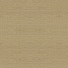 Linen Ecru