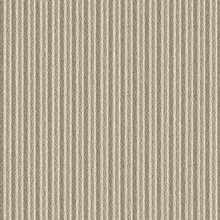 Eccoflex Beige