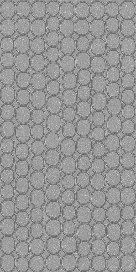  Dimension Walls Elliptical Silver