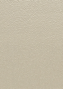 Dimension Walls Small Hammered Room Scene