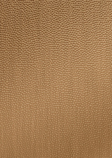 Dimension Walls Small Hammered Room Scene