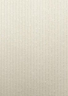 Dimension Walls Half Pipe Room Scene