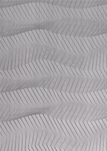 Dimension Walls Ribfest Room Scene