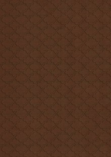 Dimension Walls Oh! Gee Room Scene