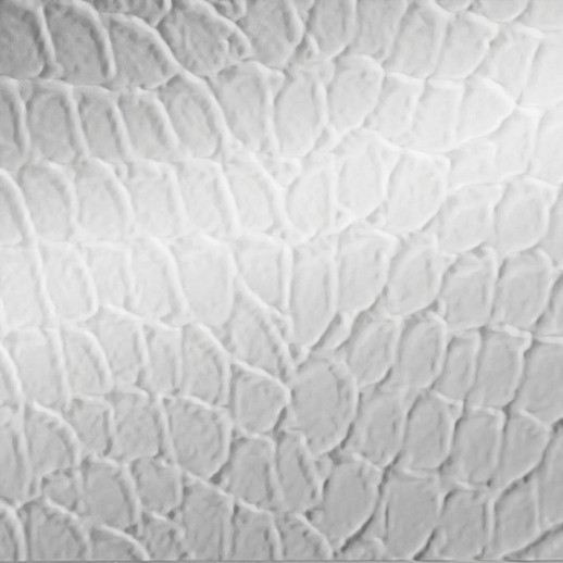  Dimension Walls Tortoise Metallic Silver