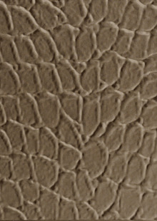 Dimension Walls Tortoise Room Scene