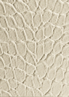 Dimension Walls Tortoise Room Scene