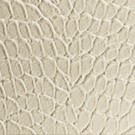  Dimension Walls Tortoise Almond