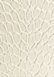 Dimension Walls Tortoise Room Scene