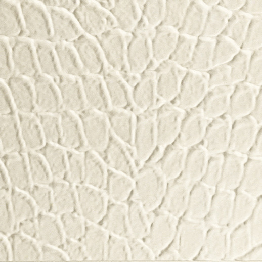  Dimension Walls Tortoise Off White