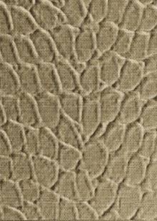 Dimension Walls Tortoise Room Scene