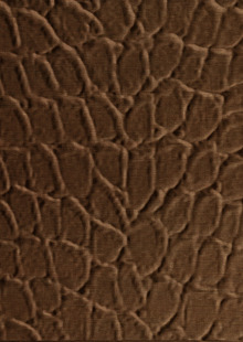 Dimension Walls Tortoise Room Scene