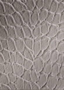 Dimension Walls Tortoise Room Scene