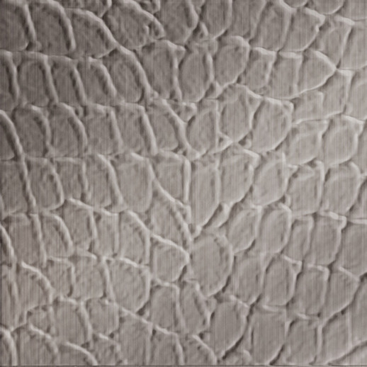  Dimension Walls Tortoise Brushed Nickel