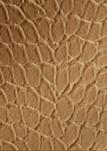 Dimension Walls Tortoise Room Scene