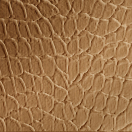  Dimension Walls Tortoise New Penny