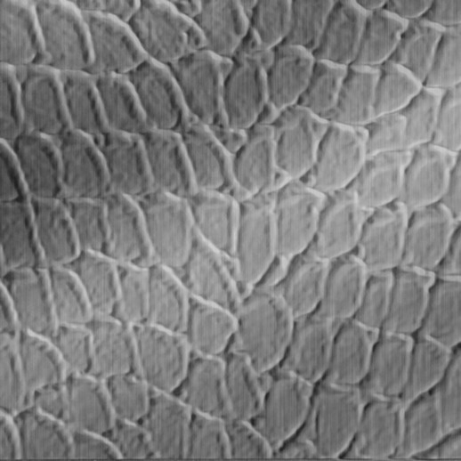  Dimension Walls Tortoise Brushed Stainless