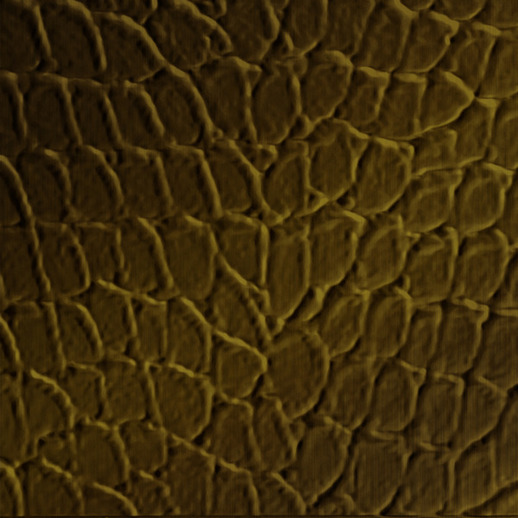  Dimension Walls Tortoise Rubbed Bronze