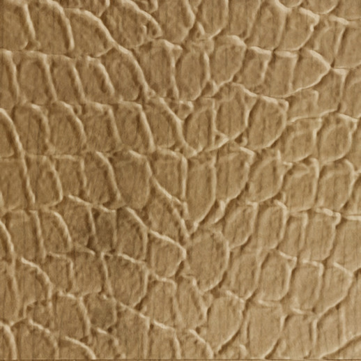  Dimension Walls Tortoise Stained Ash