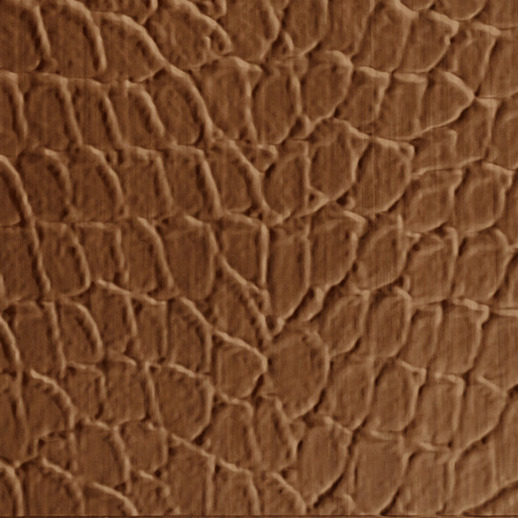  Dimension Walls Tortoise Pearwood