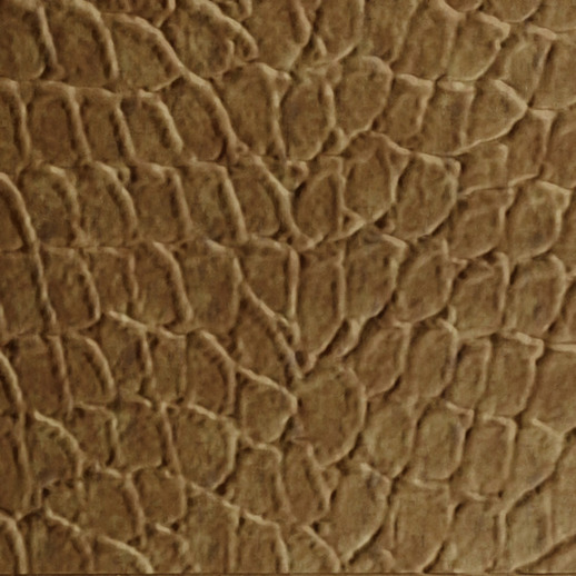  Dimension Walls Tortoise Aged Gold