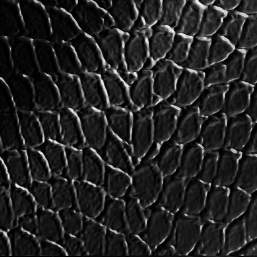  Dimension Walls Tortoise Polished Ebony