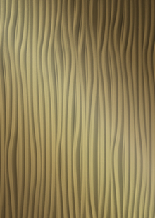 Dimension Walls Meadows Vertical Room Scene