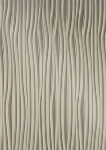 Dimension Walls Meadows Vertical Room Scene