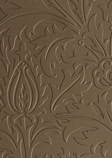 Dimension Walls Thistle Room Scene