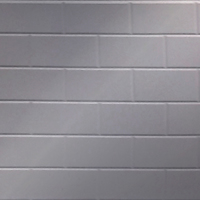 Brickyard Metallic Silver