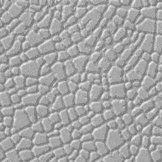  Dimension Walls Kenya Silver