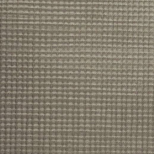  Encore 2 Allston Carbon