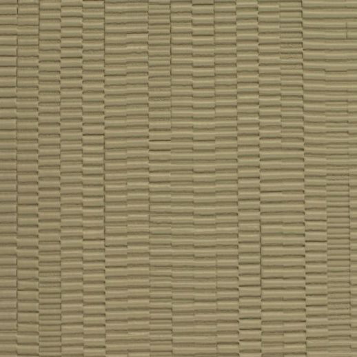  Encore Calvin Amazon