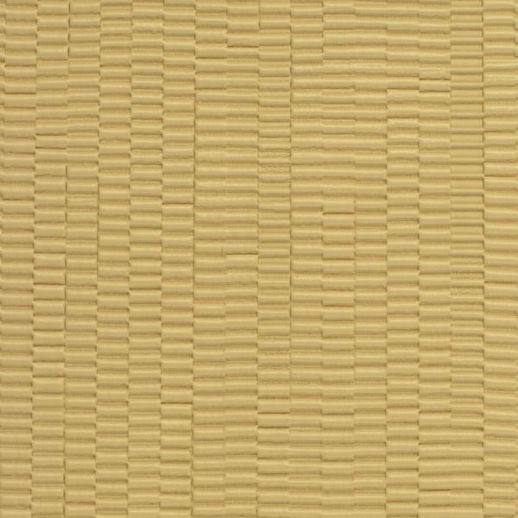  Encore Calvin Wild Flower