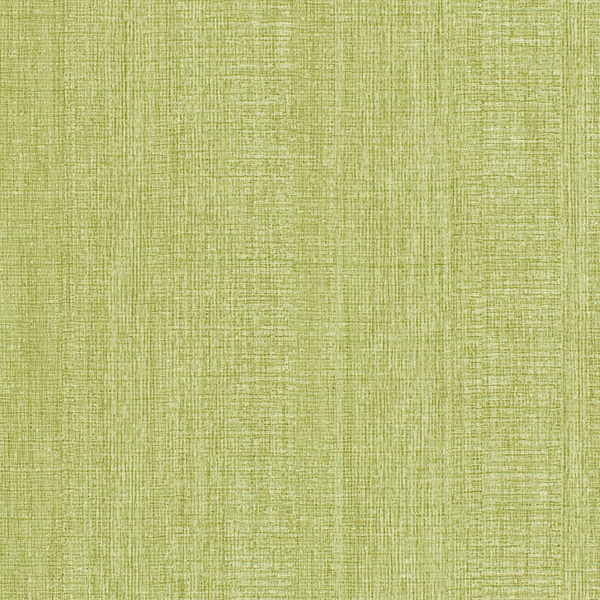 Vinyl Wall Covering Encore 2 Canali Mint Julep