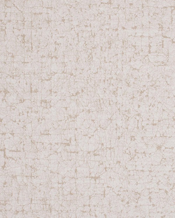 Featured Product Image