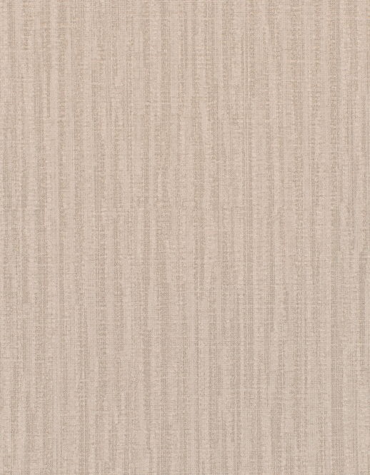  Encore 2 Havasu Conch Shell