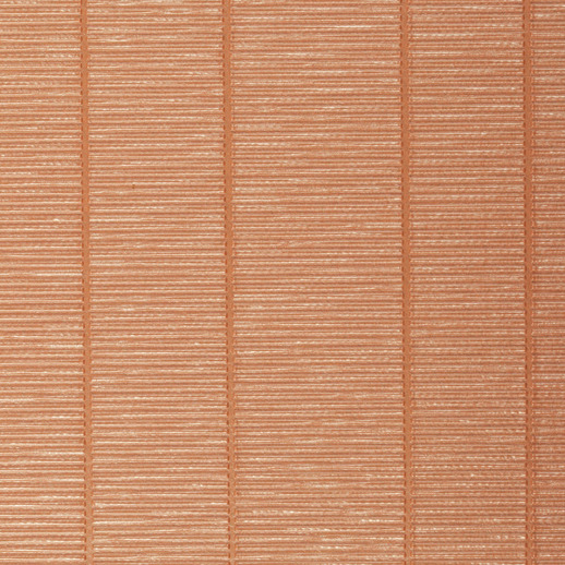  Encore 2 Horizon Coral