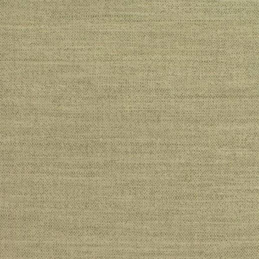  Encore Kennedy Cypress