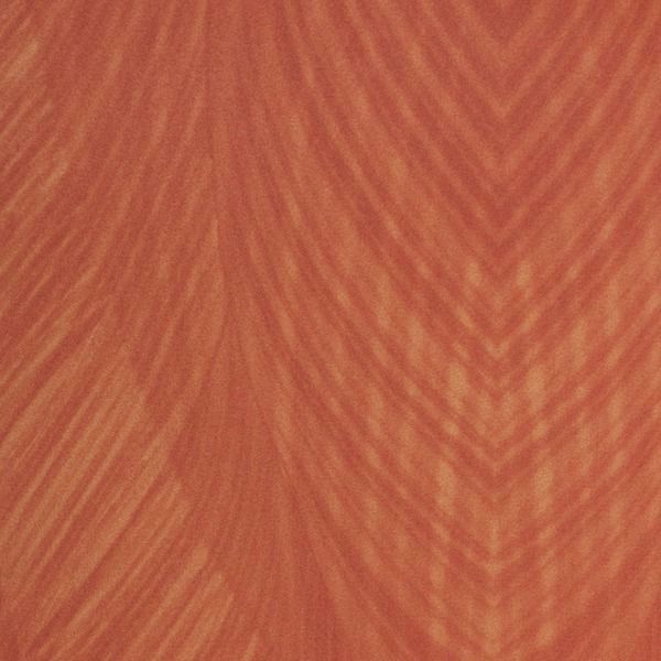 Featured Product Image