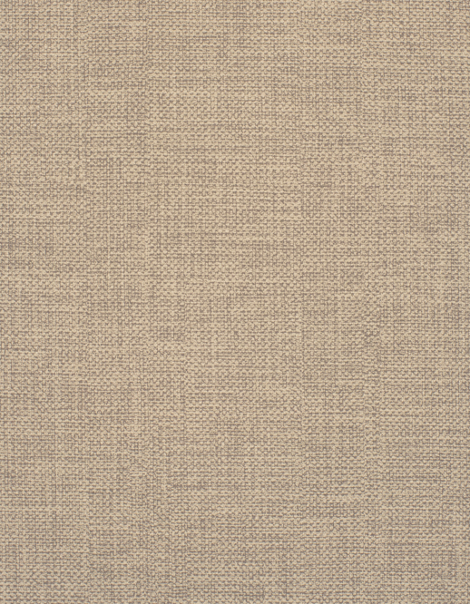 NVOLVE Zephyr Texture LATTE