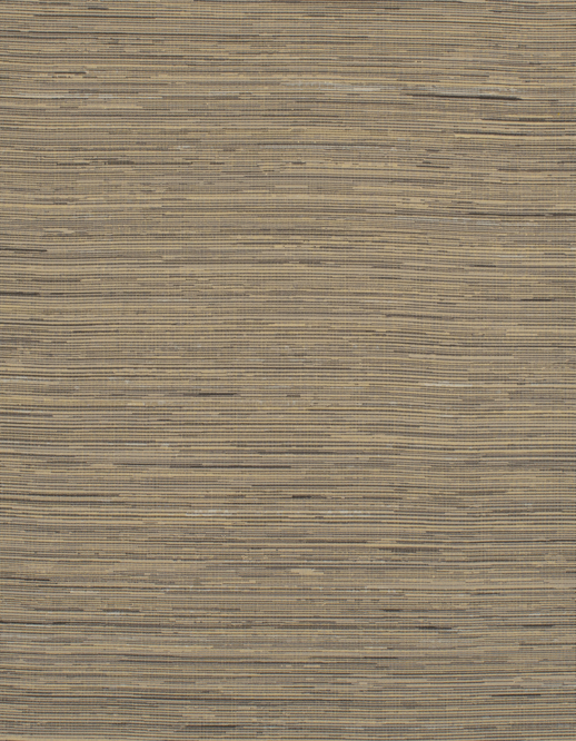  NVOLVE Stratosphere CANVAS