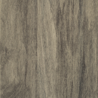 Archaeo GRAY CHESTNUT