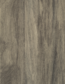 GRAY CHESTNUT