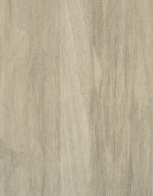 SPRUCE
