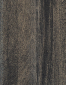 CARBON