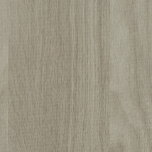  Encore Orchard Hickory