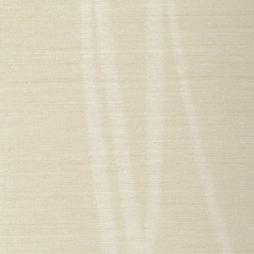  Encore 2 Organic Stripe TORTUGAS