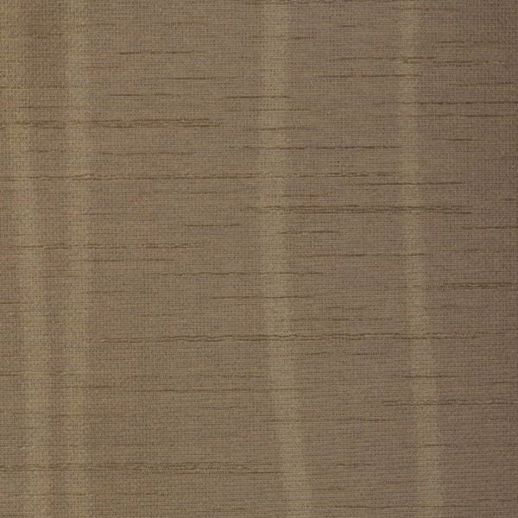  Encore 2 Organic Stripe LASSEN