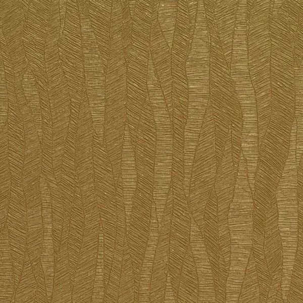 Featured Product Image